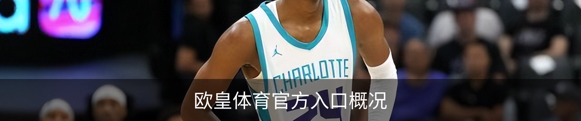 欧皇体育官方入口概况