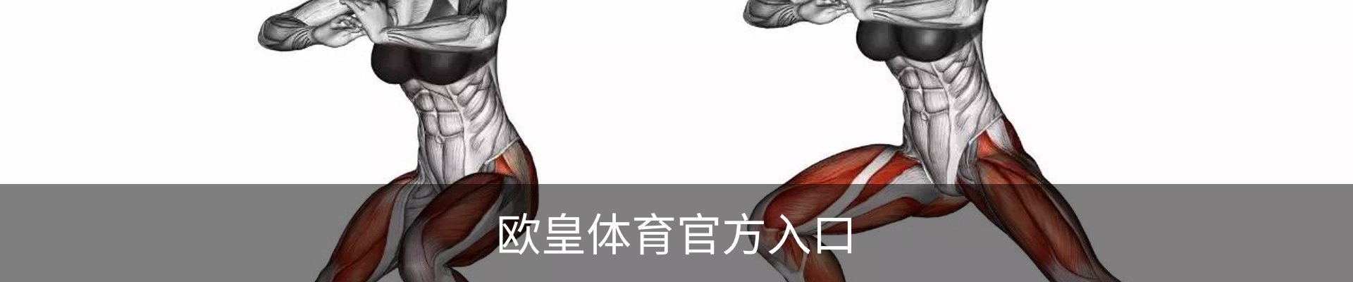 欧皇体育官方入口